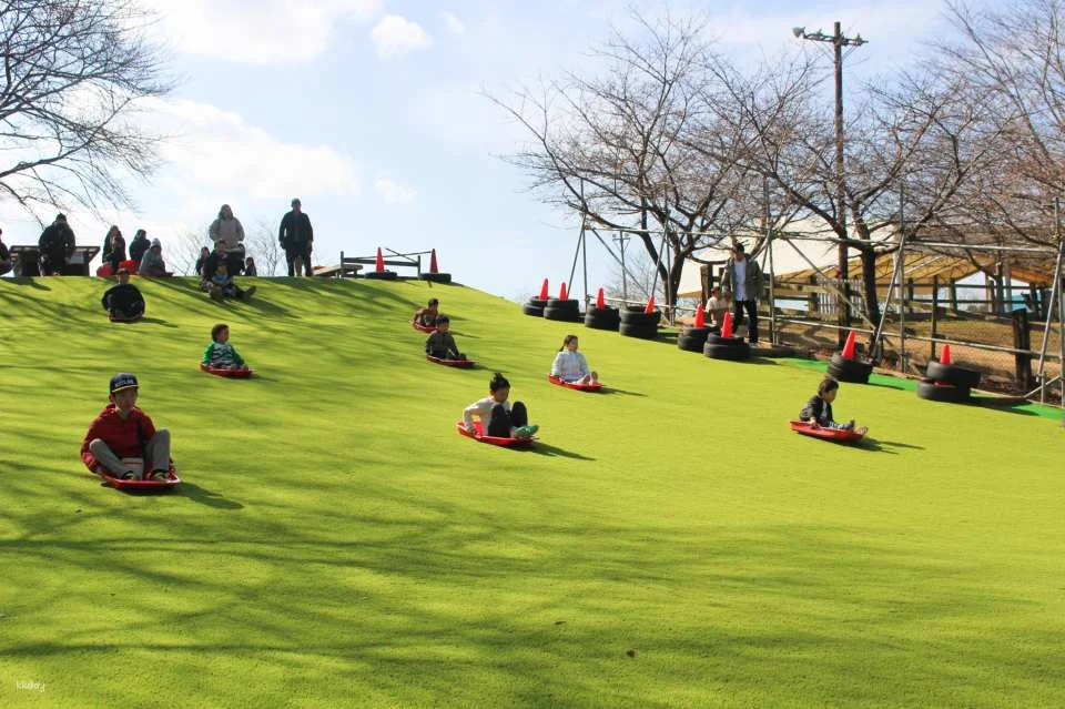 Narita Dream Dairy Farm | Admission Ticket | Instant Confirmation | Japan