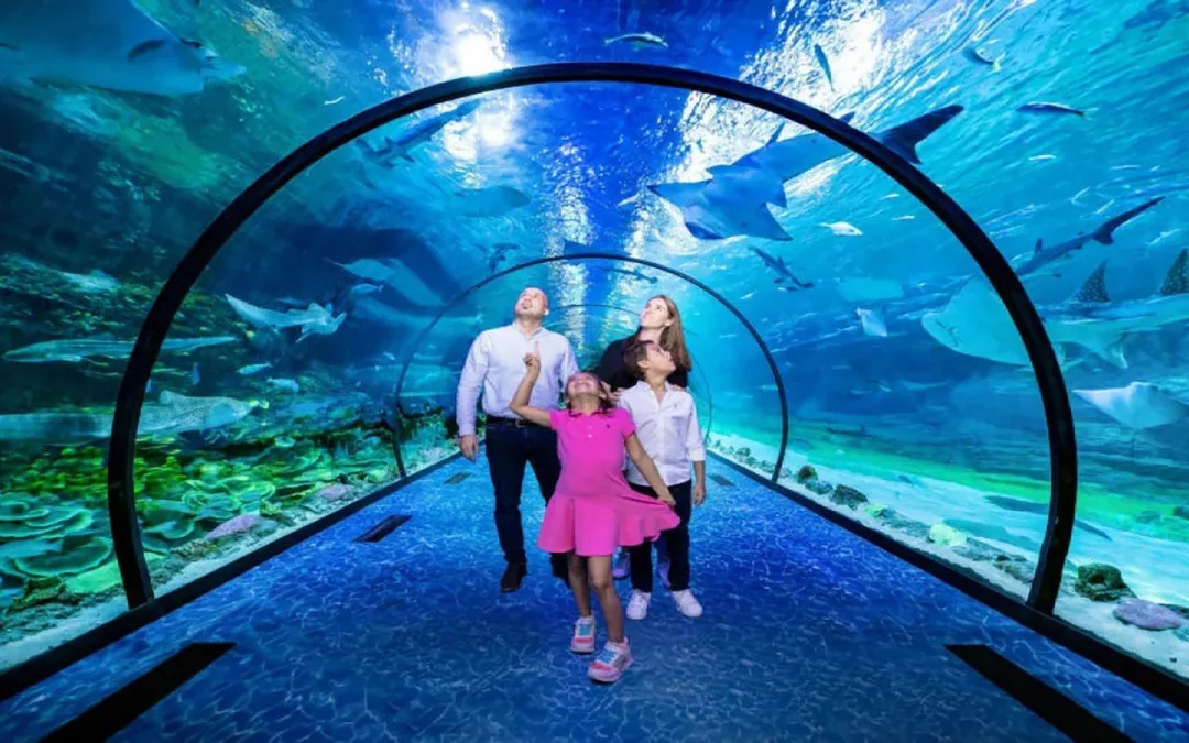 National Aquarium Abu Dhabi Tickets Image 4