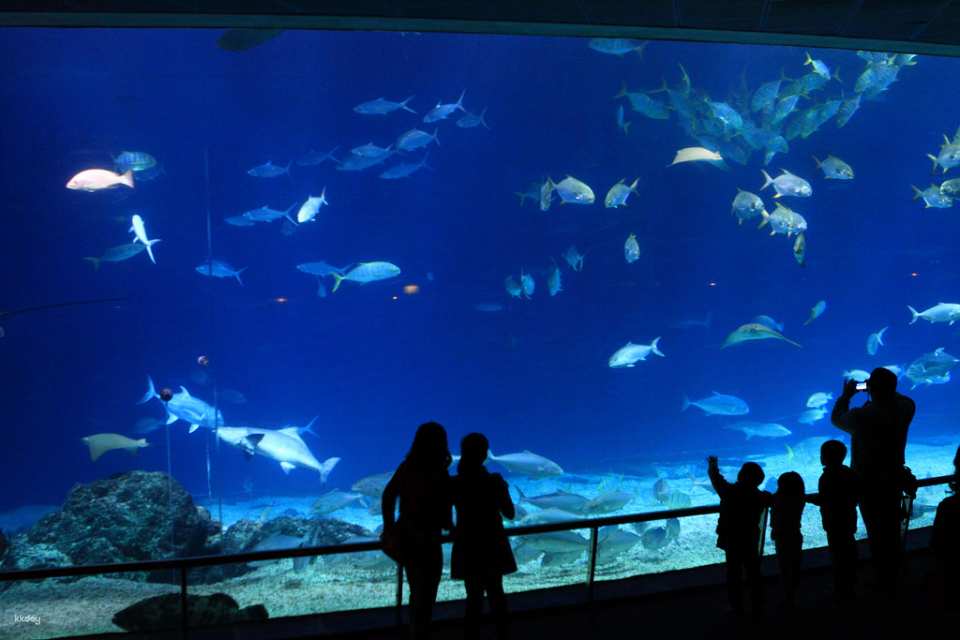 National Museum of Marine Biology & Aquarium, Pingtung | Tickets