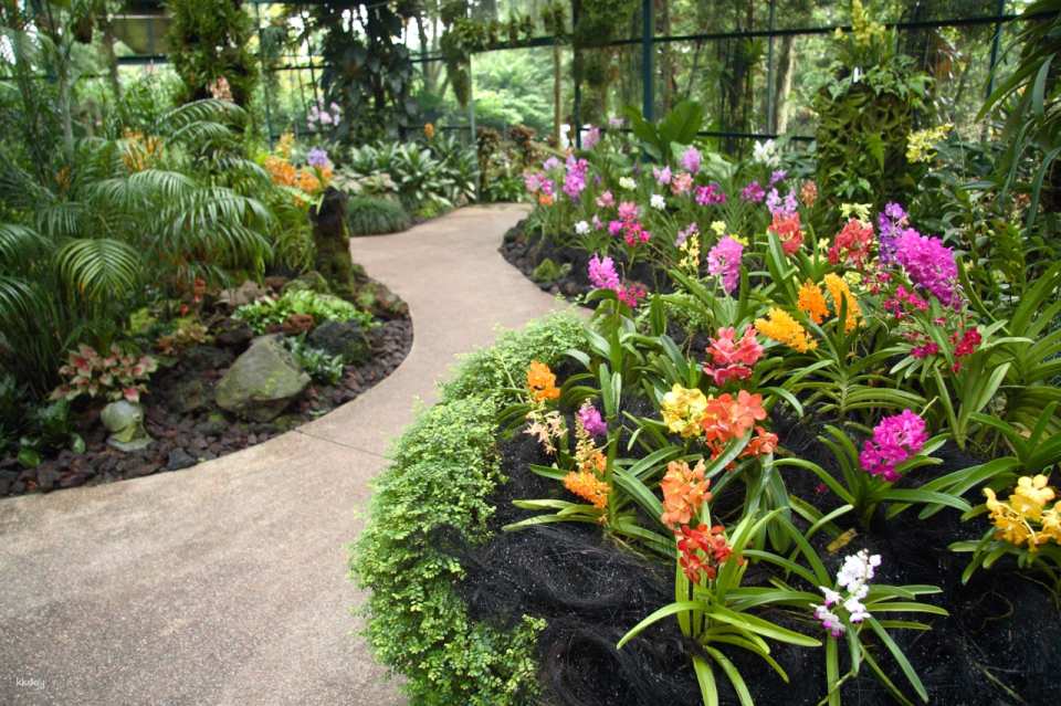 National Orchid Garden Admission Ticket | Singapore