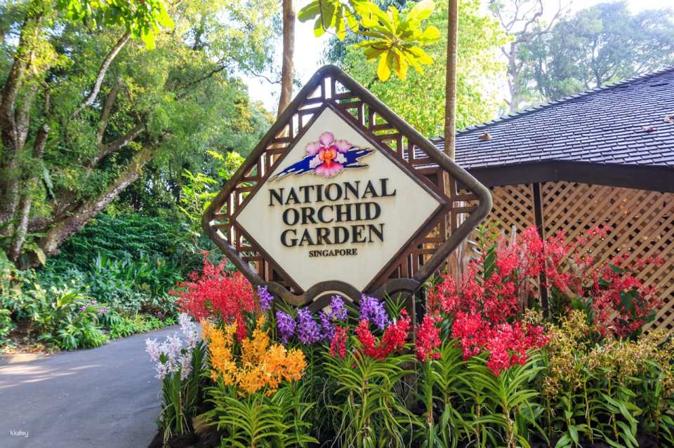 National Orchid Garden Admission Ticket | Singapore