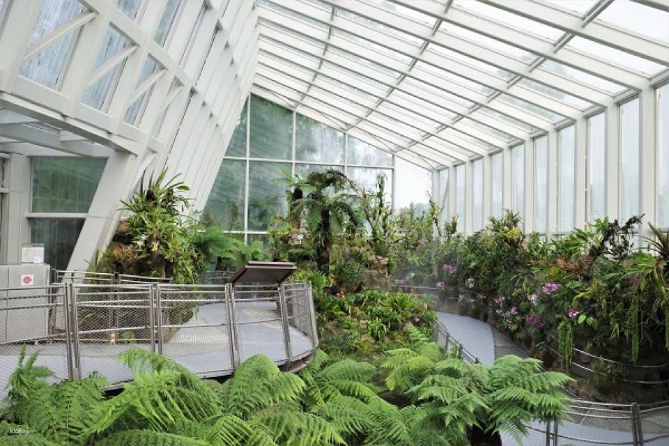 National Orchid Garden Admission Ticket | Singapore