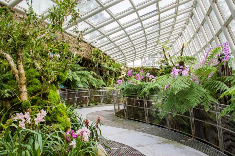 National Orchid Garden Admission Ticket | Singapore