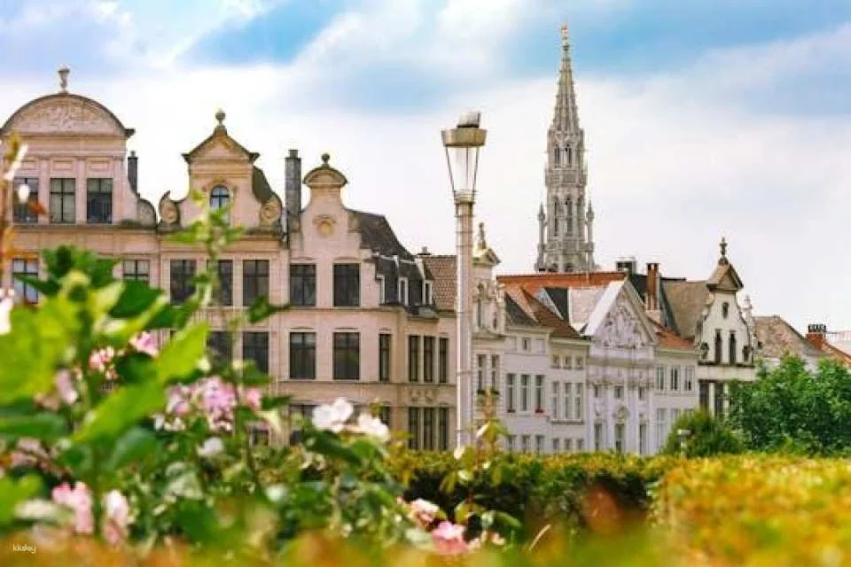 Navigate Brussels's most Insta-perfect spots with a local