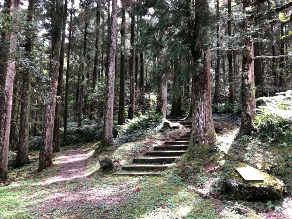 New Taipei & Taoyuan | Dongman Trail Package | Man Yueyuan National Forest Recreation Area. Dongyan Mountain National Forest Recreation Area