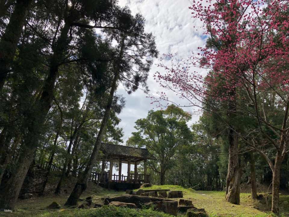 New Taipei & Taoyuan | Dongman Trail Package | Man Yueyuan National Forest Recreation Area. Dongyan Mountain National Forest Recreation Area