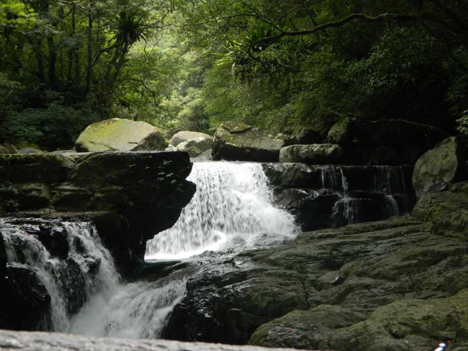 New Taipei & Taoyuan | Dongman Trail Package | Man Yueyuan National Forest Recreation Area. Dongyan Mountain National Forest Recreation Area
