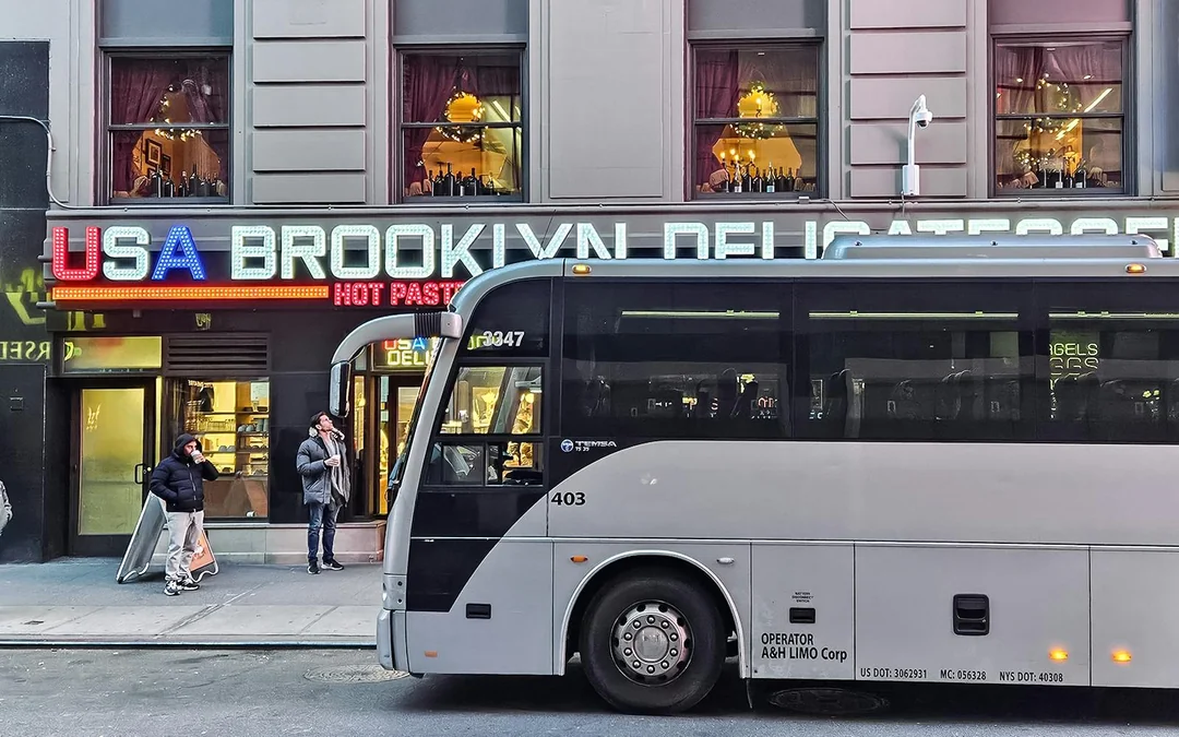 New York Dyker Heights Christmas Lights Bus Tour Image 2