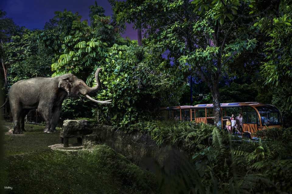Night Safari Tickets | Mandai Wildlife Reserve, Singapore
