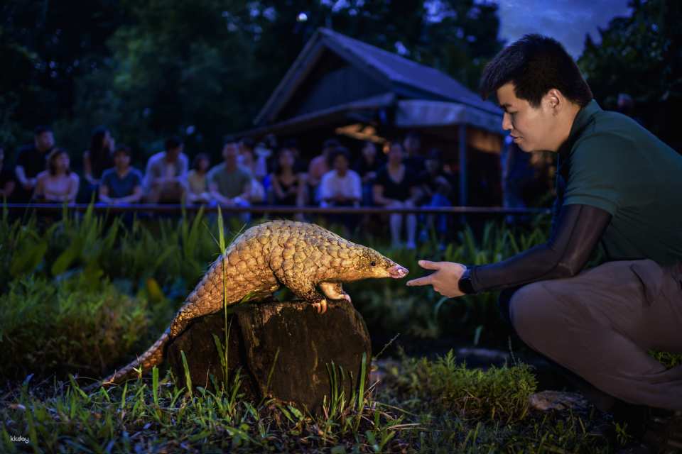 Night Safari Tickets | Mandai Wildlife Reserve, Singapore
