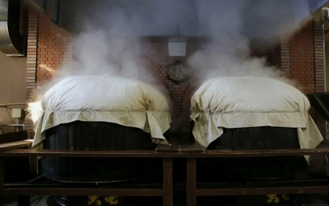 Nihonmatsu: Small-Group Daishichi Sake Brewery Tour with Tasting Image 4