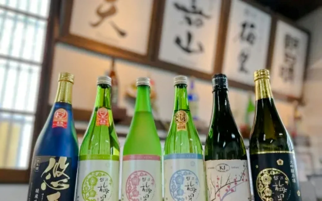 Niigata Ichiryu Sake Brewery Tour with Tasting Image 2