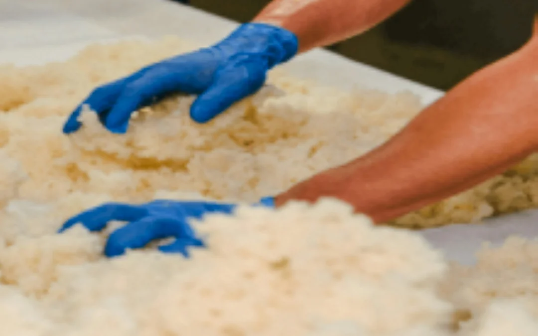 Niigata Ichiryu Sake Brewery Tour with Tasting Image 3