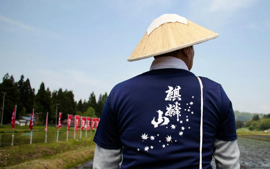 Niigata Kirinzan Brewery Tour with Sake Tasting Image 5