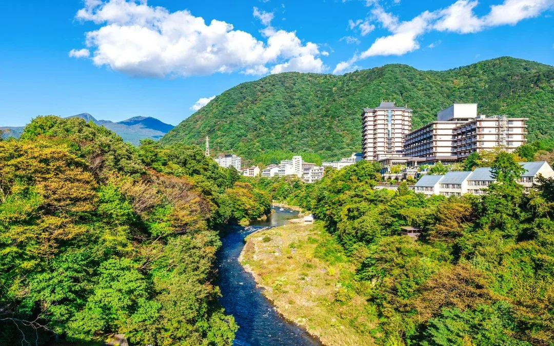 Nikko Pass: Self-Guided Exploration Using All Area Pass
 Image 8