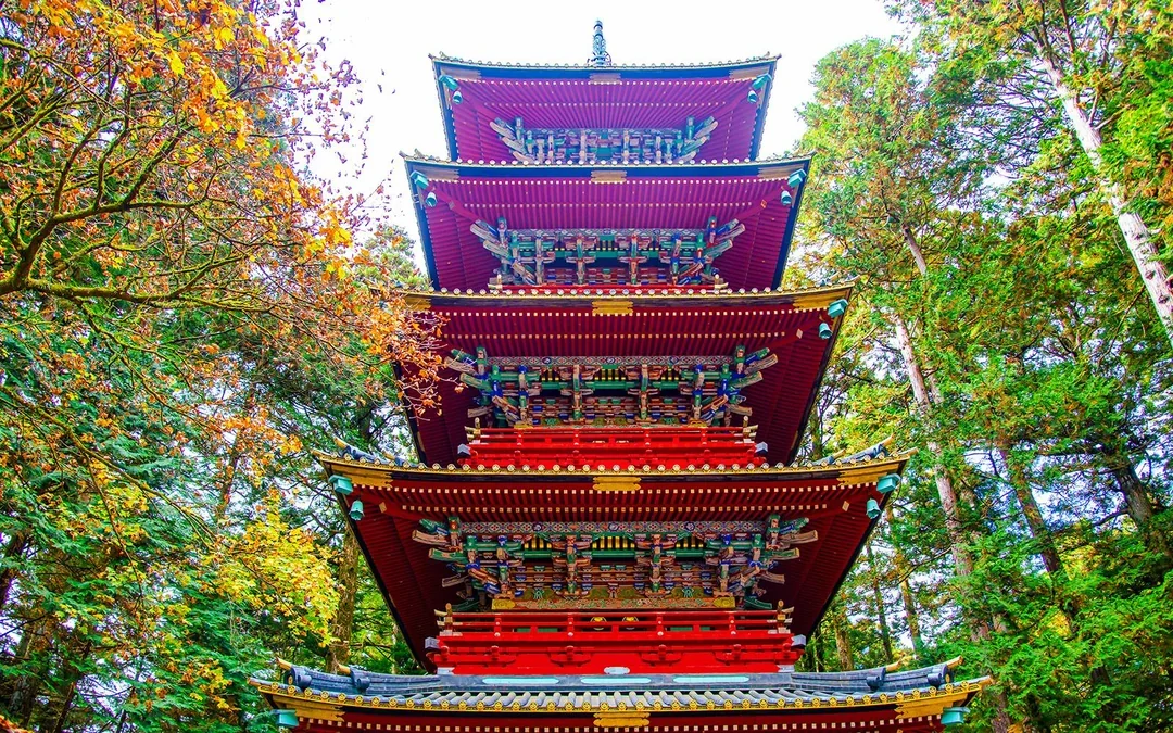 Nikko Private Guided Tour with Lunch & Hotel Transfers Image 7