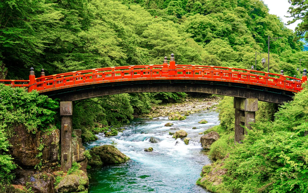 Nikko Toshogu Shrine Admission Ticket Image 5