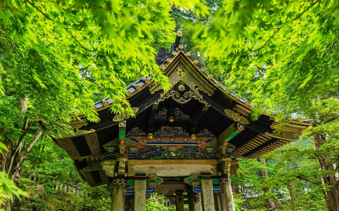Nikko Toshogu Shrine Admission Ticket Image 7
