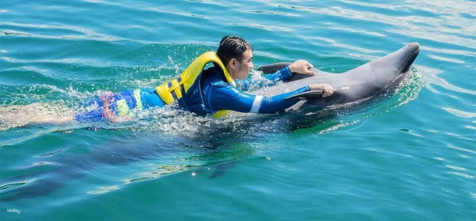 Ocean Adventure, Subic Bay in Manila | Phillippines