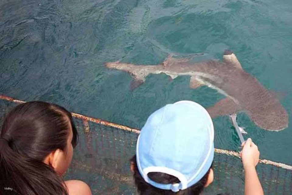Ocean Adventure, Subic Bay in Manila | Phillippines