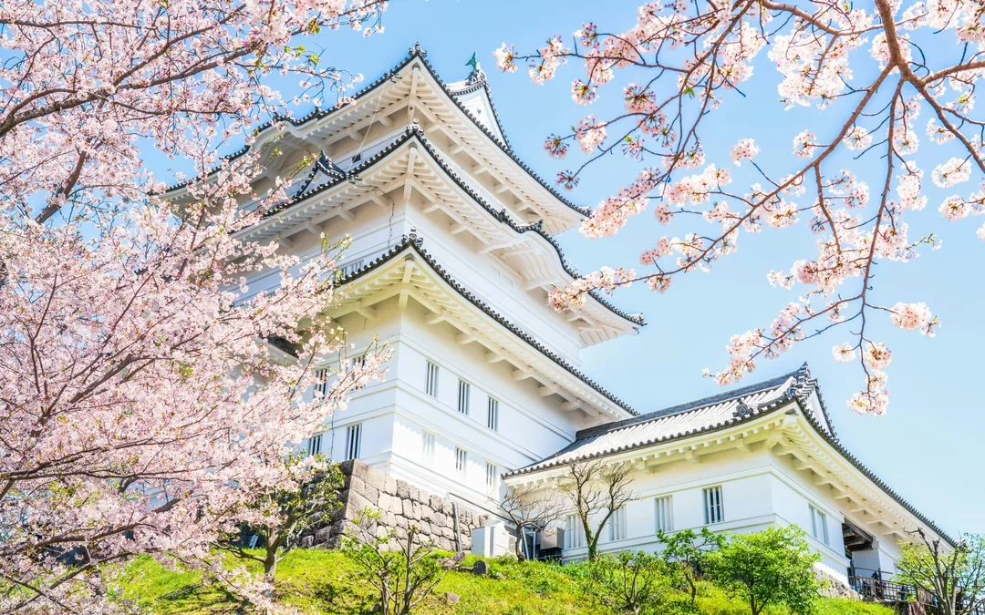 Odawara Castle Entry Tickets Image 1