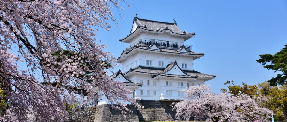 Odawara, Kanagawa Prefecture, Japan | Odawara Castle Keep + Tokiwa Gate SAMURAI Museum E-ticket