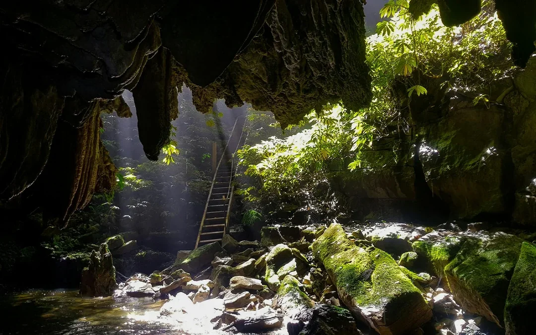 Offbeat Waitomo Glowworm Cave Small Group Guided Tour Image 2