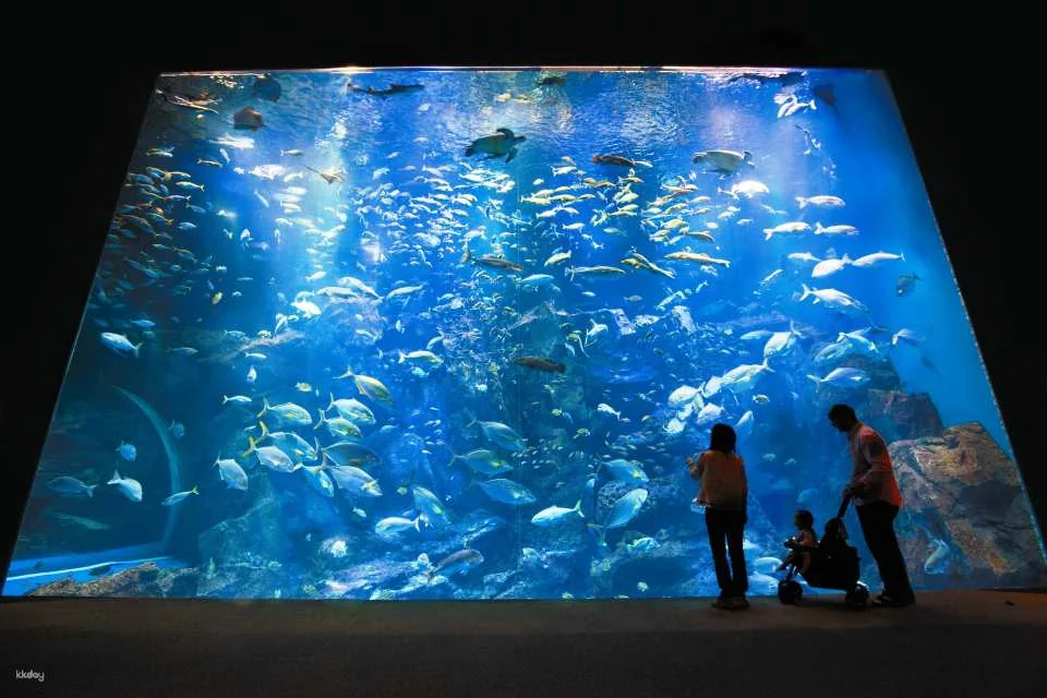 Oga Aquarium GAO Admission Ticket in Akita | Japan