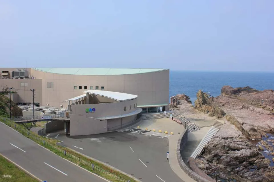 Oga Aquarium GAO Admission Ticket in Akita | Japan