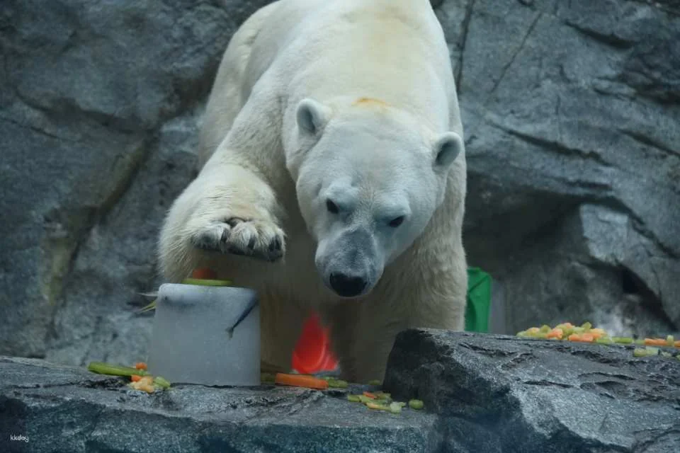 Oga Aquarium GAO Admission Ticket in Akita | Japan