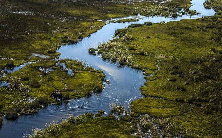 Okavango Delta Doors-Off Helicopter Tour with Champagne Island Stop Image 1