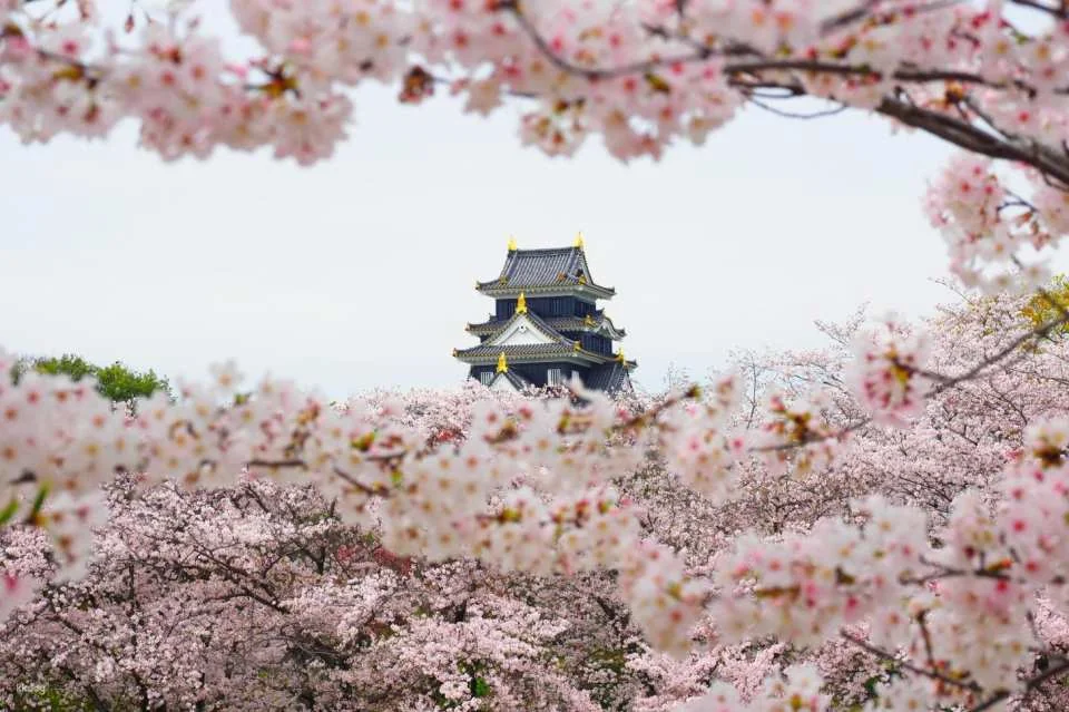 Okayama, Japan | Okayama Castle Keep Electronic Ticket