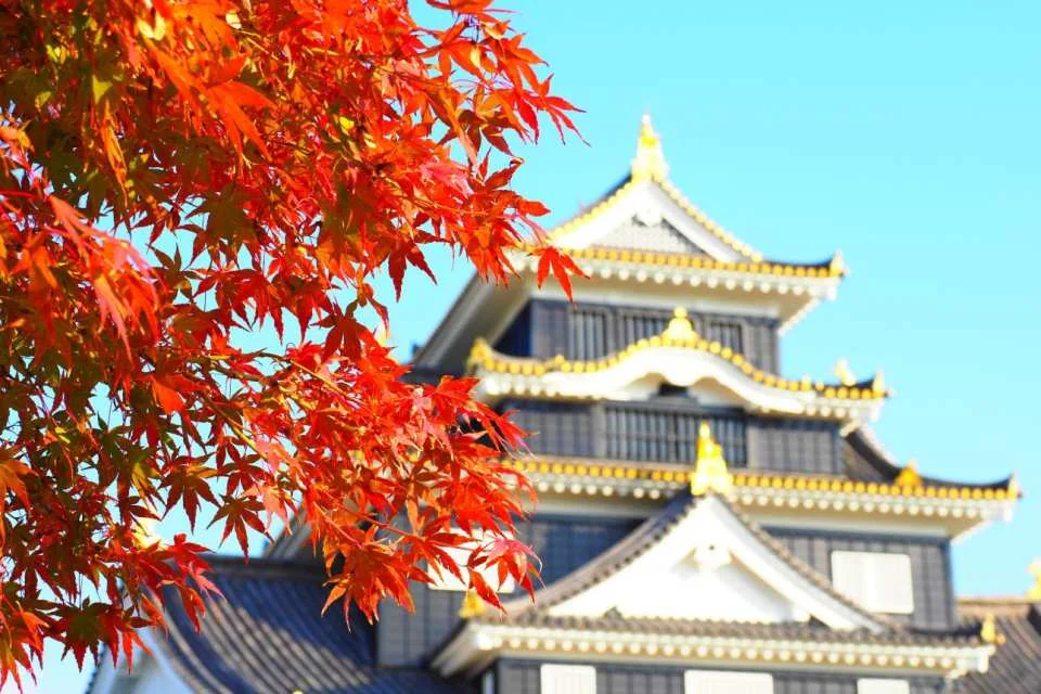 Okayama, Japan | Okayama Castle Keep Electronic Ticket
