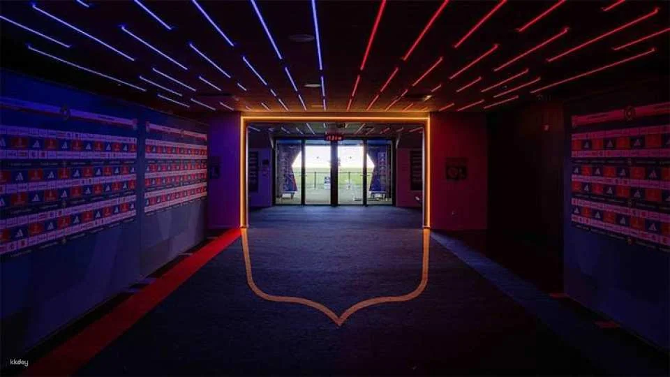 Olympique Lyonnais stadium and museum entrance tickets