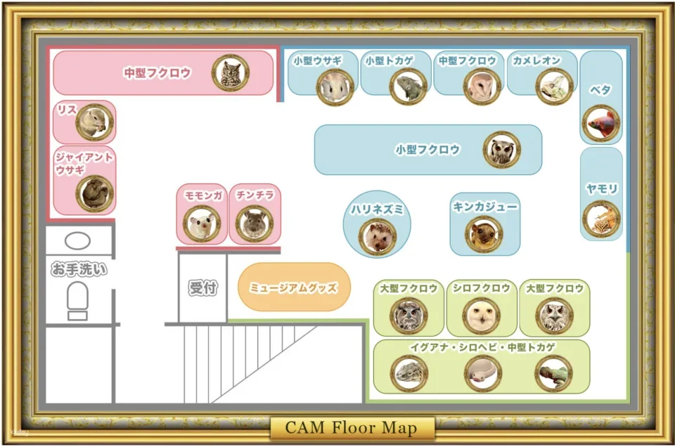 Owl Cafe Kamakura (Cute Creatures Museum) Admission Ticket (Kamakura City)
