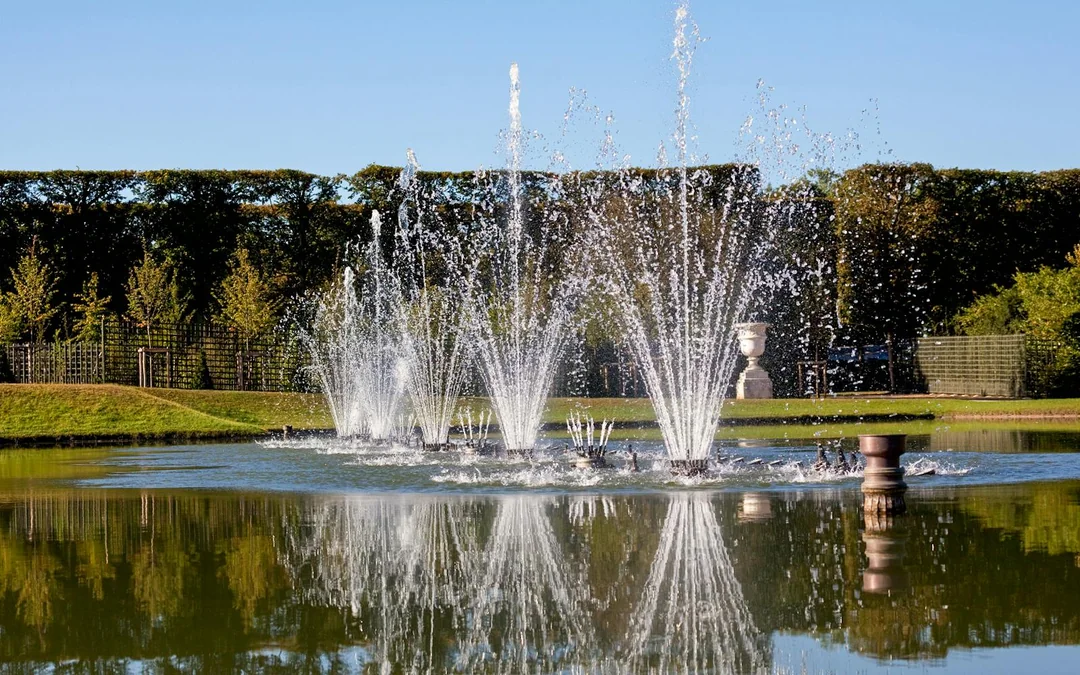Palace of Versailles Musical Fountains Show Tickets Image 4