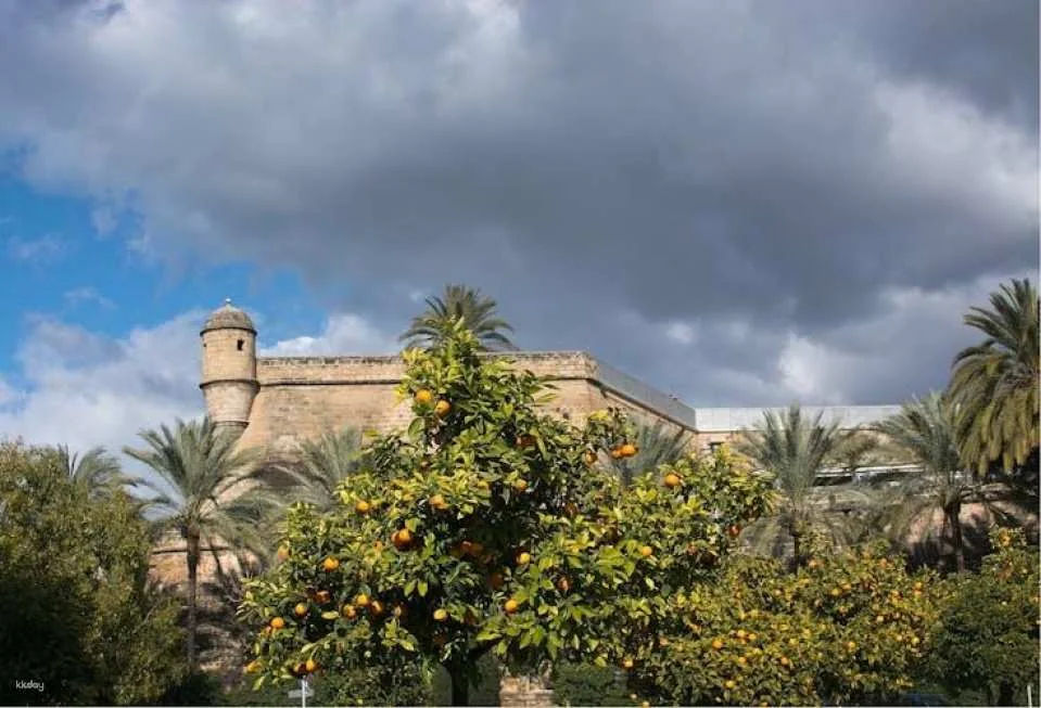 Palma de Mallorca small-group guided walking tour
