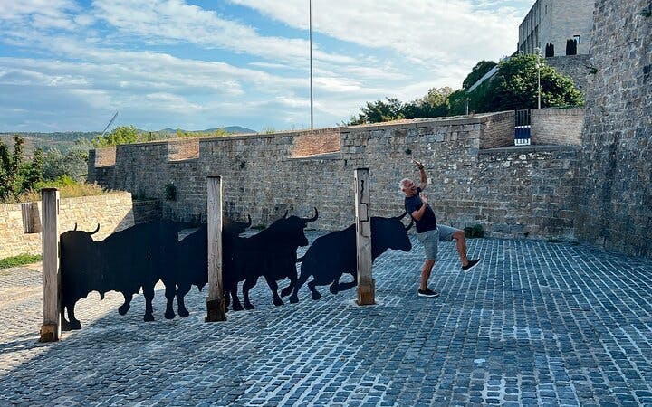 Pamplona Self-Guided Walking Tour on Mobile App Image 5