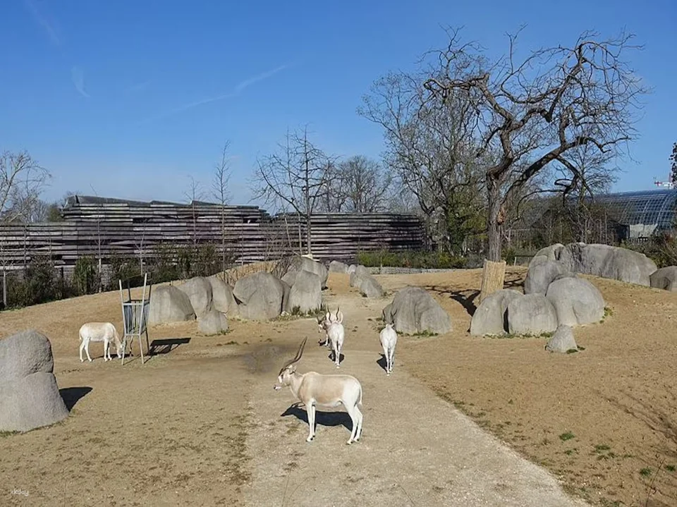 Paris Zoological Park: Entry Ticket | France