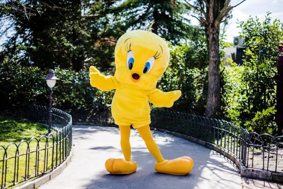 Parque Warner Madrid Entrance Tickets