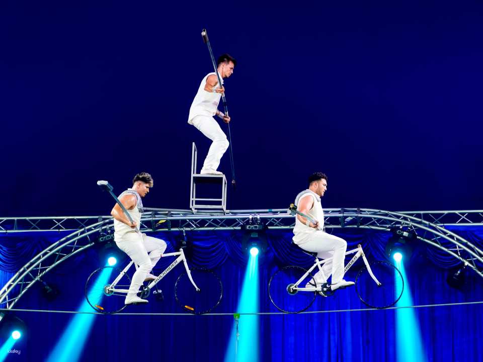 Phuket Circus Ticket | Thailand