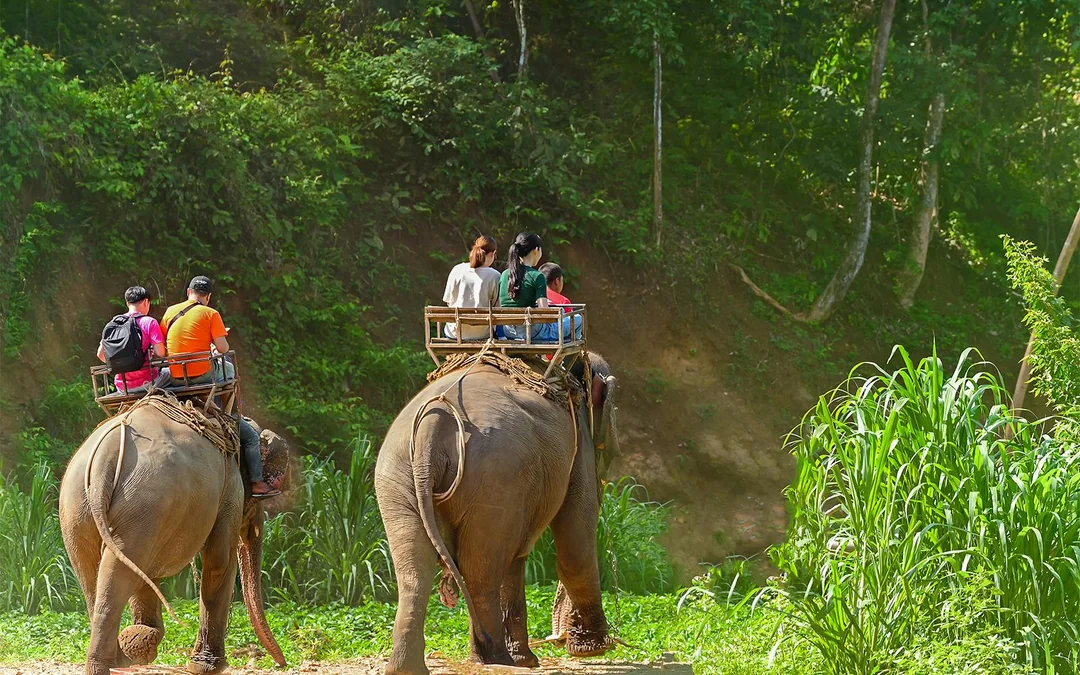 Phuket Half-Day Guided City Tour with Transfers: Big Buddha, Elephant Trekking & Wat Chalong Image 4