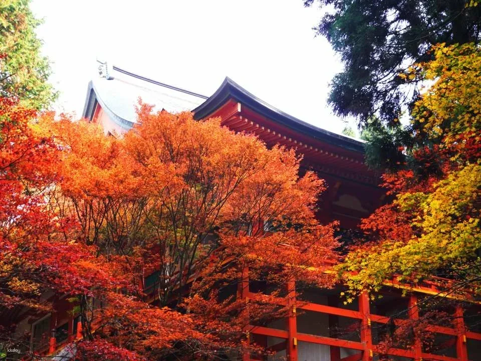 Pilgrimage fee to the various halls of Enryaku-ji Temple on Mount Hiei (Otsu City, Shiga Prefecture)