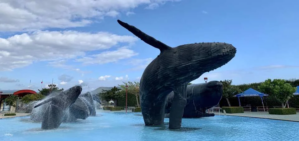 Pingtung National Museum of Marine Biology & Aquarium | Fish with You • Mini Guided Family Camp • Me and the Penguins in 0.1 Millimeters • Exploring the Intertidal Zone During the Day • Nighttime Tidal Wave Party