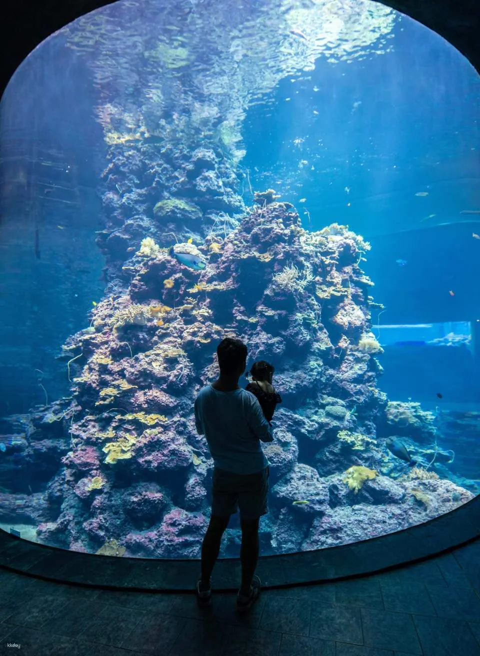 Pingtung National Museum of Marine Biology & Aquarium | Fish with You • Mini Guided Family Camp • Me and the Penguins in 0.1 Millimeters • Exploring the Intertidal Zone During the Day • Nighttime Tidal Wave Party