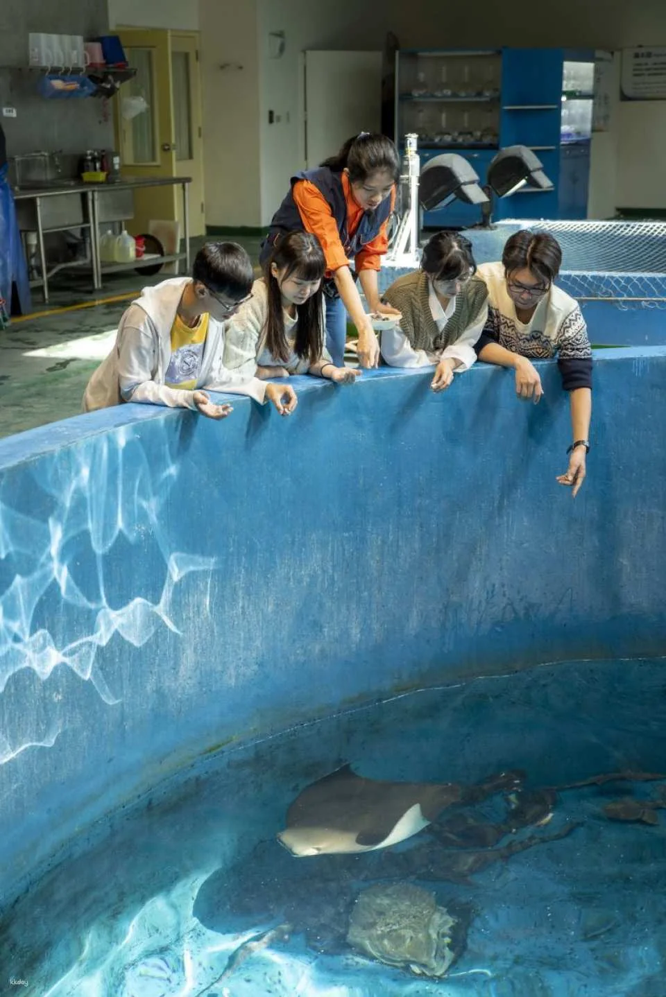 Pingtung National Museum of Marine Biology & Aquarium | Fish with You • Mini Guided Family Camp • Me and the Penguins in 0.1 Millimeters • Exploring the Intertidal Zone During the Day • Nighttime Tidal Wave Party