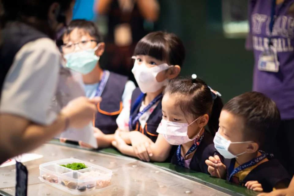 Pingtung National Museum of Marine Biology & Aquarium | Fish with You • Mini Guided Family Camp • Me and the Penguins in 0.1 Millimeters • Exploring the Intertidal Zone During the Day • Nighttime Tidal Wave Party