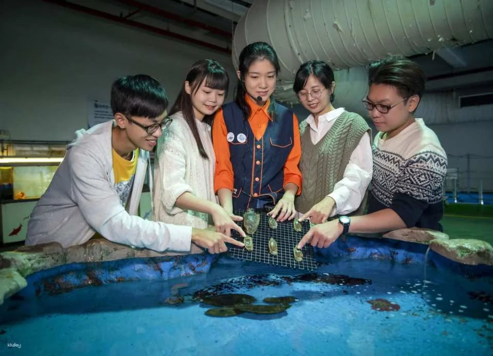 Pingtung National Museum of Marine Biology & Aquarium | Fish with You • Mini Guided Family Camp • Me and the Penguins in 0.1 Millimeters • Exploring the Intertidal Zone During the Day • Nighttime Tidal Wave Party
