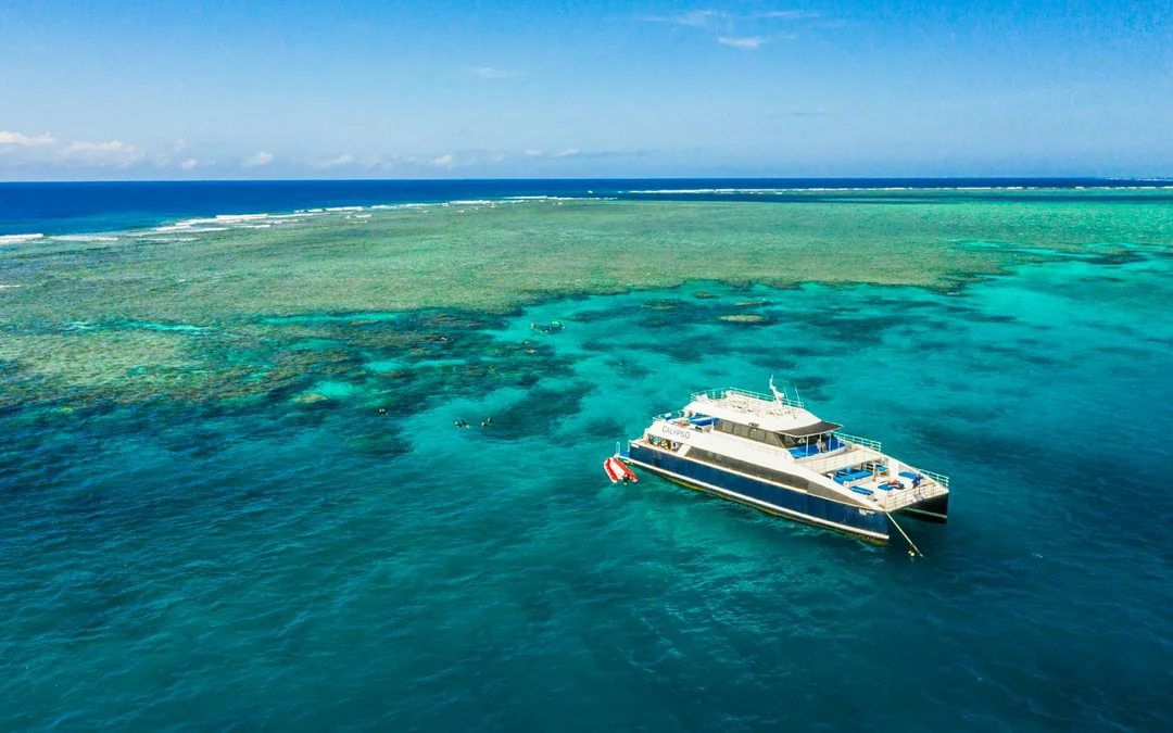 Port Douglas to Great Barrier Reef Cruise with Guided Snorkel and Lunch Image 1