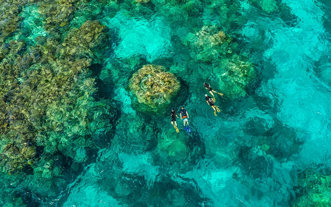 Port Douglas to Great Barrier Reef Cruise with Guided Snorkel and Lunch Image 2